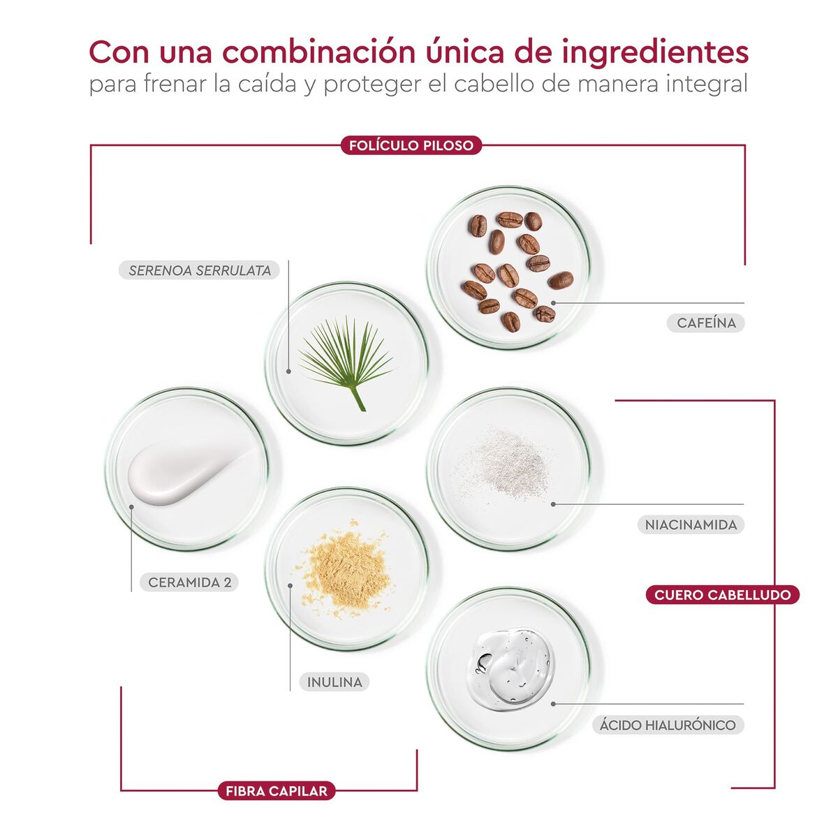 V4HFAF9C5E7D33B4AACDB633D93E10F6771R7404362P7